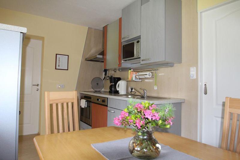 Appartement Genigau Wagrain Exteriér fotografie